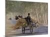 Donkey Cart, Turpan, Xinjiang Province, Silk Road, China-Keren Su-Mounted Photographic Print