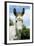 Donkey Close-Up of Head-null-Framed Photographic Print