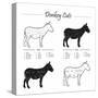 Donkey Cut Scheme - B&W-ONiONAstudio-Stretched Canvas