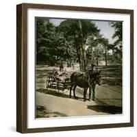 Donkey-Drawn Carriage at the Jardin D'Acclimatation, Paris (XVIth Arrondissement), Circa 1890-1895-Leon, Levy et Fils-Framed Photographic Print