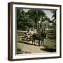 Donkey-Drawn Carriage at the Jardin D'Acclimatation, Paris (XVIth Arrondissement), Circa 1890-1895-Leon, Levy et Fils-Framed Photographic Print