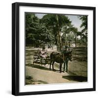 Donkey-Drawn Carriage at the Jardin D'Acclimatation, Paris (XVIth Arrondissement), Circa 1890-1895-Leon, Levy et Fils-Framed Photographic Print