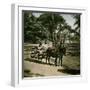 Donkey-Drawn Carriage at the Jardin D'Acclimatation, Paris (XVIth Arrondissement), Circa 1890-1895-Leon, Levy et Fils-Framed Photographic Print