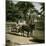 Donkey-Drawn Carriage at the Jardin D'Acclimatation, Paris (XVIth Arrondissement), Circa 1890-1895-Leon, Levy et Fils-Mounted Photographic Print