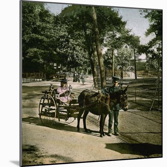 Donkey-Drawn Carriage at the Jardin D'Acclimatation, Paris (XVIth Arrondissement), Circa 1890-1895-Leon, Levy et Fils-Mounted Photographic Print