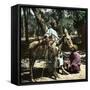 Donkey Drivers in Cairo (Egypt)-Leon, Levy et Fils-Framed Stretched Canvas