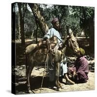 Donkey Drivers in Cairo (Egypt)-Leon, Levy et Fils-Stretched Canvas