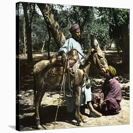 Donkey Drivers in Cairo (Egypt)-Leon, Levy et Fils-Stretched Canvas