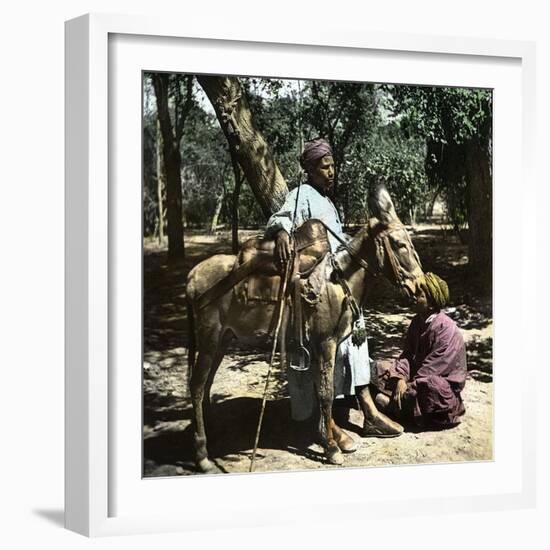 Donkey Drivers in Cairo (Egypt)-Leon, Levy et Fils-Framed Photographic Print