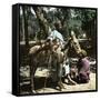 Donkey Drivers in Cairo (Egypt)-Leon, Levy et Fils-Framed Stretched Canvas