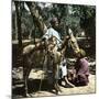 Donkey Drivers in Cairo (Egypt)-Leon, Levy et Fils-Mounted Photographic Print