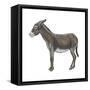 Donkey (Equus Asinus), Mammals-Encyclopaedia Britannica-Framed Stretched Canvas