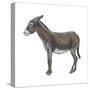Donkey (Equus Asinus), Mammals-Encyclopaedia Britannica-Stretched Canvas