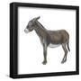 Donkey (Equus Asinus), Mammals-Encyclopaedia Britannica-Framed Poster
