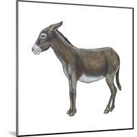 Donkey (Equus Asinus), Mammals-Encyclopaedia Britannica-Mounted Poster