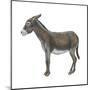 Donkey (Equus Asinus), Mammals-Encyclopaedia Britannica-Mounted Poster