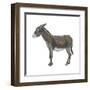 Donkey (Equus Asinus), Mammals-Encyclopaedia Britannica-Framed Art Print