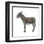 Donkey (Equus Asinus), Mammals-Encyclopaedia Britannica-Framed Art Print