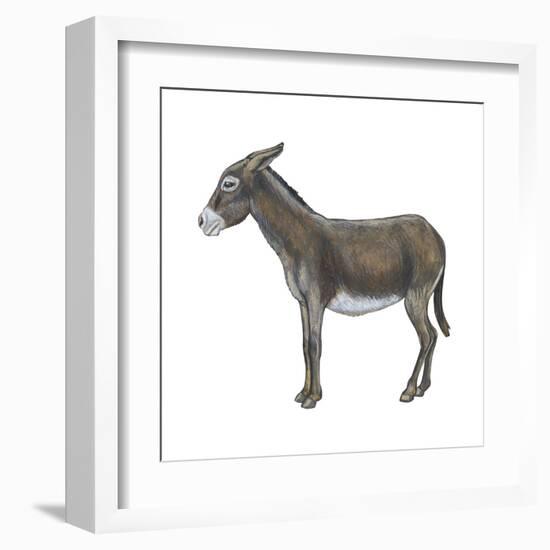 Donkey (Equus Asinus), Mammals-Encyclopaedia Britannica-Framed Art Print