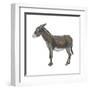 Donkey (Equus Asinus), Mammals-Encyclopaedia Britannica-Framed Art Print