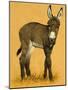 Donkey Foal-null-Mounted Giclee Print