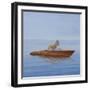 Donkey in a Riva, 2010-Lincoln Seligman-Framed Giclee Print