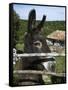 Donkey in Rural Setting, Cres Island, Kvarner Gulf, Croatia, Europe-Stuart Black-Framed Stretched Canvas
