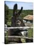 Donkey in Rural Setting, Cres Island, Kvarner Gulf, Croatia, Europe-Stuart Black-Stretched Canvas