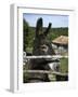 Donkey in Rural Setting, Cres Island, Kvarner Gulf, Croatia, Europe-Stuart Black-Framed Photographic Print