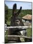 Donkey in Rural Setting, Cres Island, Kvarner Gulf, Croatia, Europe-Stuart Black-Mounted Photographic Print