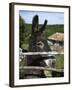 Donkey in Rural Setting, Cres Island, Kvarner Gulf, Croatia, Europe-Stuart Black-Framed Photographic Print