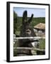 Donkey in Rural Setting, Cres Island, Kvarner Gulf, Croatia, Europe-Stuart Black-Framed Photographic Print