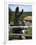 Donkey in Rural Setting, Cres Island, Kvarner Gulf, Croatia, Europe-Stuart Black-Framed Photographic Print