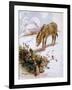 Donkey in Snow 1927-Alan Wright and Anne Anderson-Framed Art Print