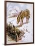 Donkey in Snow 1927-Alan Wright and Anne Anderson-Framed Art Print