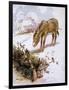 Donkey in Snow 1927-Alan Wright and Anne Anderson-Framed Art Print