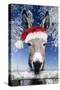 Donkey Looking over Fence Wearing Christmas Hat in Snow-null-Stretched Canvas