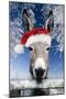 Donkey Looking over Fence Wearing Christmas Hat in Snow-null-Mounted Photographic Print