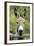 Donkey Looking over Fence-null-Framed Photographic Print