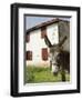 Donkey Near St. Jean Pied De Port, Basque Country, Pyrenees-Atlantiques, Aquitaine, France-R H Productions-Framed Photographic Print