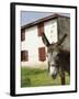 Donkey Near St. Jean Pied De Port, Basque Country, Pyrenees-Atlantiques, Aquitaine, France-R H Productions-Framed Photographic Print