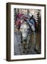 Donkey of the Souks Markets, Fes, Morocco, Africa-Kymri Wilt-Framed Photographic Print