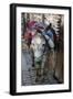 Donkey of the Souks Markets, Fes, Morocco, Africa-Kymri Wilt-Framed Photographic Print