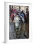 Donkey of the Souks Markets, Fes, Morocco, Africa-Kymri Wilt-Framed Photographic Print