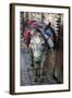 Donkey of the Souks Markets, Fes, Morocco, Africa-Kymri Wilt-Framed Photographic Print