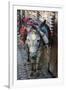 Donkey of the Souks Markets, Fes, Morocco, Africa-Kymri Wilt-Framed Photographic Print