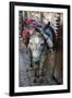 Donkey of the Souks Markets, Fes, Morocco, Africa-Kymri Wilt-Framed Photographic Print