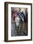 Donkey of the Souks Markets, Fes, Morocco, Africa-Kymri Wilt-Framed Photographic Print