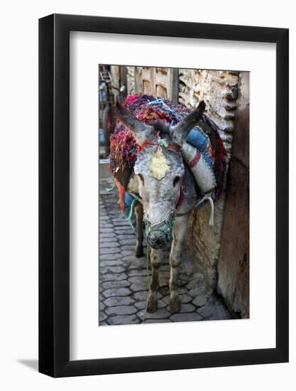 Donkey of the Souks Markets, Fes, Morocco, Africa-Kymri Wilt-Framed Photographic Print