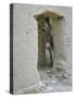 Donkey Peering Through Open Passage Way in White-Washed Wall in Ruined City-Howard Sochurek-Stretched Canvas